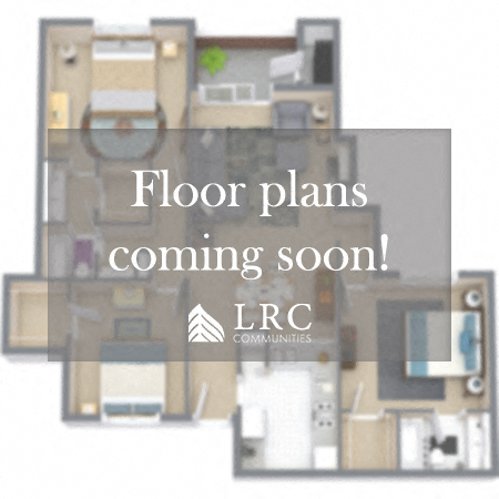 Floor plan for 2 beds, 1 bath, 810 sqft